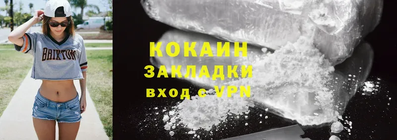 наркота  blacksprut ТОР  Cocaine FishScale  Заводоуковск 