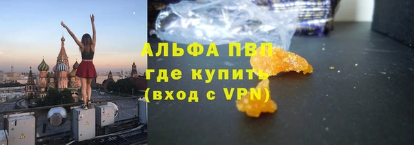 ГАЛЛЮЦИНОГЕННЫЕ ГРИБЫ Вязники