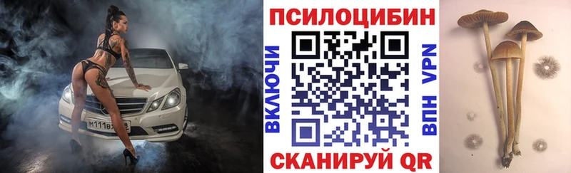 мориарти состав  гидра ссылки  Заводоуковск  Галлюциногенные грибы мухоморы 