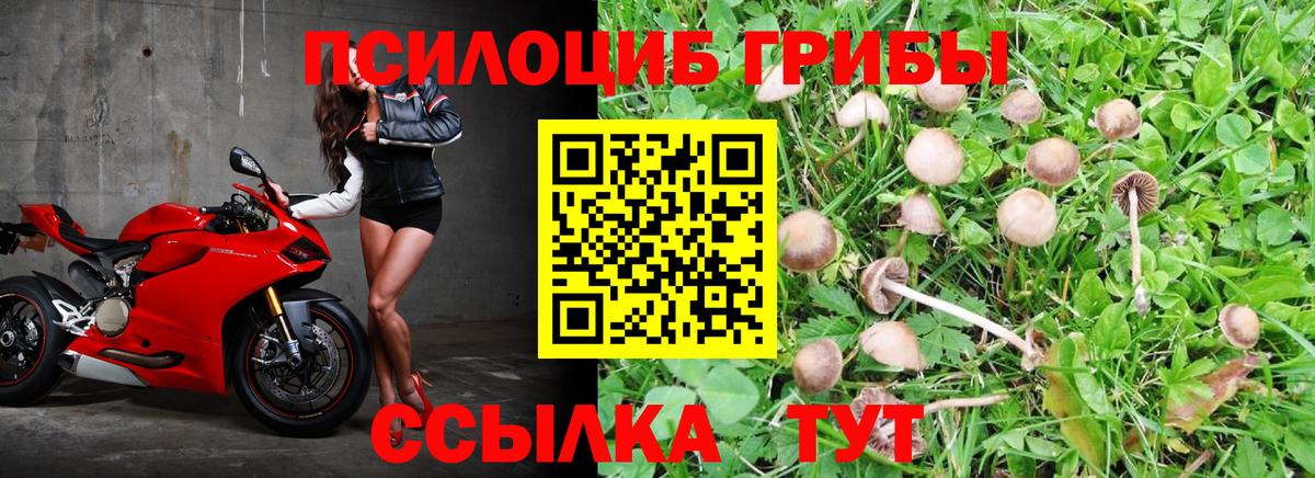 Галлюциногенные грибы MAGIC MUSHROOMS Заводоуковск