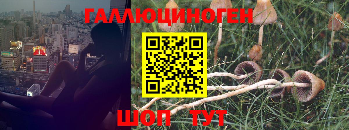 Псилоцибиновые грибы мицелий  Заводоуковск 