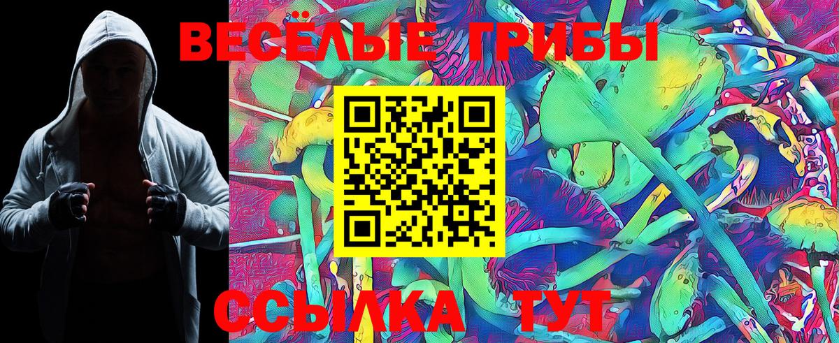 Псилоцибиновые грибы Psilocybine cubensis Заводоуковск