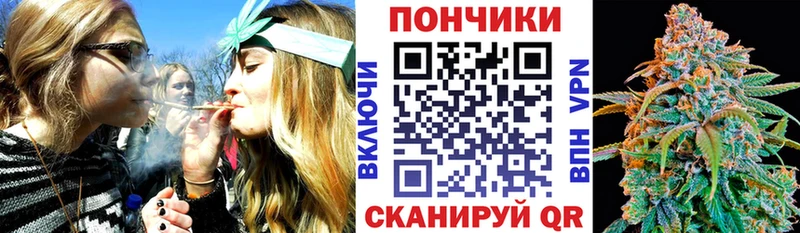 где купить   Заводоуковск  Бошки марихуана гибрид 